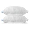 2 Pack Queen Size Rayon Derived from Bamboo Pillows for Sleeping, Cooling Shredded Memory Foam Pillow Sets for Back, Side, Stomach Sleepers, Adjustable, Removable Cover, Queen (Pack of 2) view 1