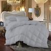 100% Egyption Cotton Comforter 100 Series 300 GSM 3 PC Comforter Set Fill Power Buffy Overfilled All Season Silver - Queen Size Soft Quilted with Corner Tabs, Winter Warm Fluffy view 1