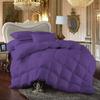 100% Egyption Cotton Comforter 100 Series 300 GSM 3 PC Comforter Set Fill Power Buffy Overfilled All Season Purple - Oversized Queen Size Soft Quilted with Corner Tabs, Winter Warm Fluffy view 1