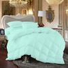 100% Egyption Cotton Comforter 100 Series 300 GSM 3 PC Comforter Set Fill Power Buffy Overfilled All Season Aqua - Oversized Queen Size Soft Quilted with Corner Tabs, Winter Warm Fluffy view 1