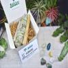 Gemini Zodiac Crystals and Gemstones Smudge Sage, Palo Santo Selenite Kit Gemini Stones Set Gemini Crystals and Gemstones Set Zodiac Gemini view 2