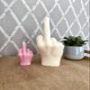 Big Fuck You Candle, Large Middle Finger Candle, Hand Gesture Candle, Homemade soy candle, Candle Gift, Funny candle, Scented candle (Pink, PALO SANTO) view 4