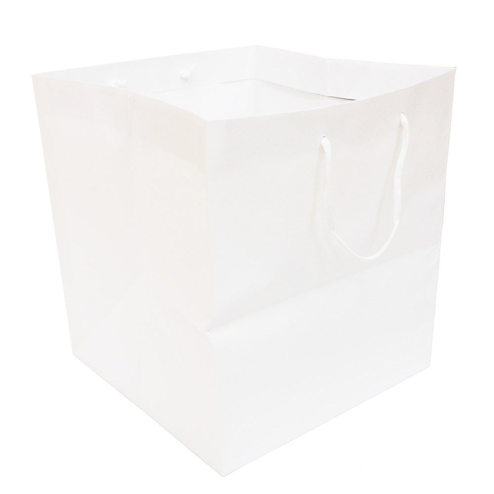  Ehime Paper Work PMATI-M5P Pocket Wide Paper Bags, M, Pack of 5, White