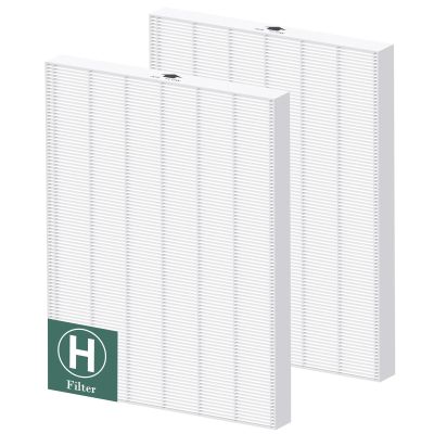 116130 Replacement Filter H Compatible with Winix 5500-2/ AM80 Air Purifi-ers, HEPA Filter for Dust Pollen Hair Pet Dander Smoke, 2 Pack(White)