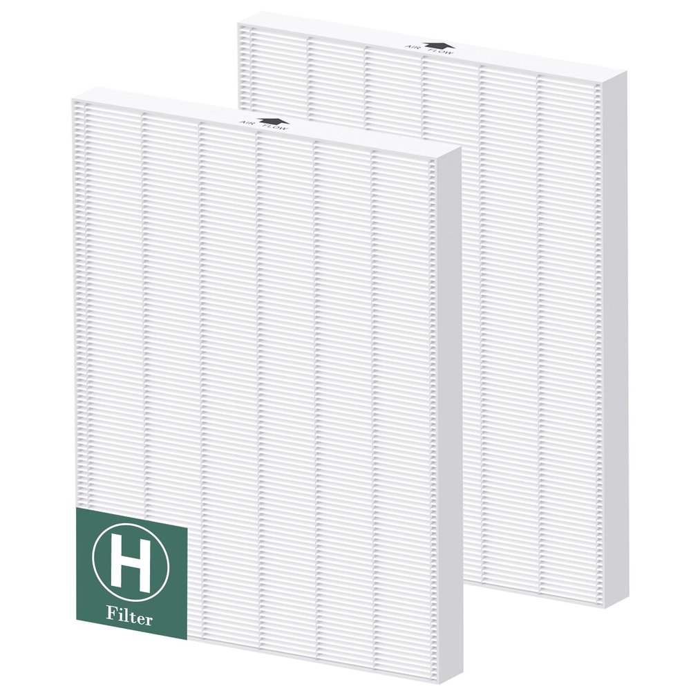 116130 Replacement Filter H Compatible with Winix 5500-2/ AM80 Air Purifi-ers, HEPA Filter for Dust Pollen Hair Pet Dander Smoke, 2 Pack(White)
