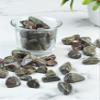 Crocon 1LB Dragon Bloodstone Tumbled Stones and Crystals bulk 2000+ Carats Natural Crystal Kit for Reiki Healing Crystals Polished Tumble Stones Chakra Reiki Balancing Gift Home Decor DIY Crafts view 3