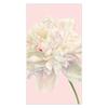 Caspari Duchess Peonies Paper Guest Towel Napkins in Blush, Two Packs of 15 view 1