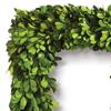 MY SWANKY HOME Square 16in English Boxwood Wreath Topiary Greenery Natural Classic Hanging Door view 3