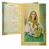 Saint Dymphna Prayer Card Pamphlet | Full Color with Gold-Tone Foil Accents | Patron Saint of Mental Illness Sufferers and Runaways | Includes Story of St. Dymphna and Prayer | Great Confirmation Gift view 3