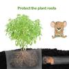 boUod 5pcs 1 Gallon Gopher and Vole Wire Baskets Protect Plants, Trees, Flowers and Bulbs from Voles, Gophers and Moles view 3