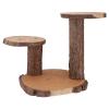2- Tier Tree Bark Server for Cake Meats Cheeses and Crackers Wood Plant Stand Indoor Plant Holder Rustic Decoration view 3