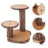 2- Tier Tree Bark Server for Cake Meats Cheeses and Crackers Wood Plant Stand Indoor Plant Holder Rustic Decoration view 4