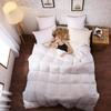 luxuriousdeals 800 Thread Count 100% Egyptian Cotton 300 GSM Goose Down Alternative 3 PC Comforter Set (1 PC Comforter and 2 Pillow Cases) Full Size White view 4
