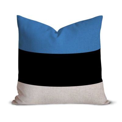 Estonia Flag Farmhouse Decorative Throw Pillow Case 22 x 22 Inch, Vintage Retro Rustic Flag Cushion Cover Case, Patriotic Square Pillow Case Cotton Linen Cushion Case for Mom Dad Friends Gift