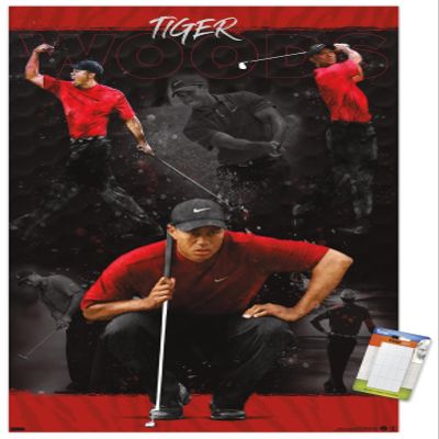 Trends International Tiger Woods - Sketch Wall Poster, 22.375" x 34", Premium Poster & Mount Bundle