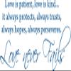 Blinggo Blue 39"x17" Love is Patient Vinyl Wall Decal - Inspirational Scripture Quote Wall Art Stickers for Living Room, Bedroom, Wedding Decor view 1