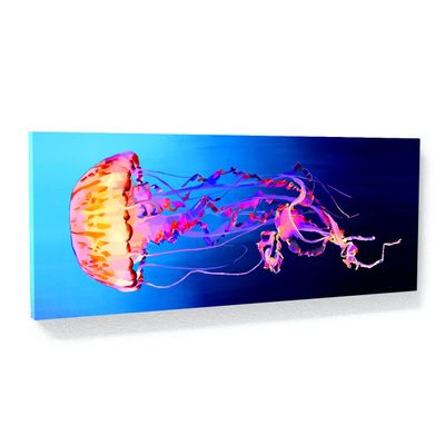 Sense Canvas Jellyfish Canvas Art - Ocean Marine Life Squid Water Home Decor Print Poster Painting Large 40x16 / 1.5"