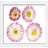 23x17 Shadow Box White Display Frame 1 Inch Deep | 1.5 Inch Wide Moulding | Includes Shatter Resistant Acrylic Plexiglass, Acid-Free Backing and Hanging Hardware view 4