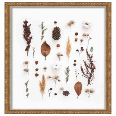 14x9 Ornate Gold Shadow Box Frame - Interior Size 14x9 by 1 Inches Deep | Made to Display Items Up to 1 Inches Deep Includes Shatter Resistant Acrylic, Backing, Hardware