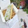 Virgo Zodiac Crystals Smudge Kit Palo Santo Selenite Sage Virgo Stones Set Virgo Crystals and Gemstones Set Zodiac Virgo Crystals Gift Set view 3