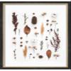 12x6 Walnut with Brown Accent Shadow Box Frame - Interior Size 12x6 by 1 Inch Deep - Made to Display Items Up to 1 Inch Deep Includes Shatter Resistant Acrylic, Backing, Hardware view 4