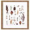 14x11 Ornate Gold Shadow Box Frame - Interior Size 14x11 by 1 Inches Deep | Made to Display Items Up to 1 Inches Deep Includes Shatter Resistant Acrylic, Backing, Hardware view 1