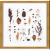 11x7 Shadow Box Gold Brushed Display Frame | 1.25 Inch Deep | Beveled 1.25 Inch Frame Moulding Width | Includes Shatter Resistant Acrylic Plexiglass, Backing and Hanging Hardware view 4