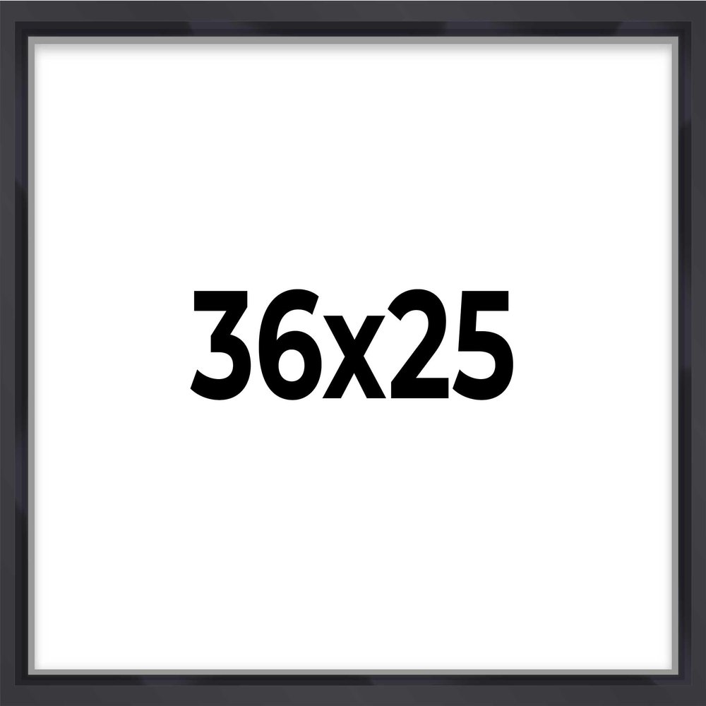 25x36 Shadow Box Frame Contemporary Black | 3/4" Depth of Usable Space| Interior Size 25x36 or 36x25 Inches| UV Resistant Acrylic, Acid-Free Backing, Wall Hangers | Made in USA