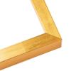 10x4 Shadow Box Vintage Gold Leaf Block Display Frame | Solid Wood 1.5 Inches Deep | 1 Inch Mouding Width | Includes Shatter Resistant Acrylic Plexiglass, Backing and Hanging Hardware view 2