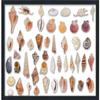 20x16 Black Shadowbox Frame - Shadow Box Frame Interior Size 20x16 by 1.5 Inches Deep - Black Frame Made to Display Items Up to 1.5 Inches Deep Includes Shatter Resistant Acrylic, Backing, Hardware view 3