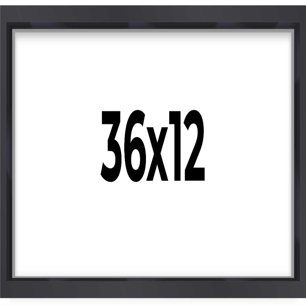 12x36 Shadow Box Frame Contemporary Black | 3/4" Depth of Usable Space| Interior Size 12x36 or 36x12 Inches| UV Resistant Acrylic, Acid-Free Backing, Wall Hangers | Made in USA