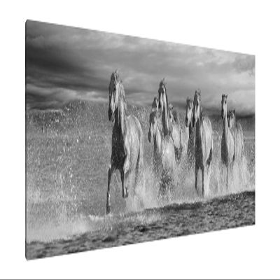 Jaxson Rea "Horses Running at the Beach Gallery Wrapped Canvas by Jorge Llovet, 45" x 15"