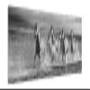 Jaxson Rea "Horses Running at the Beach Gallery Wrapped Canvas by Jorge Llovet, 45" x 15" view 1