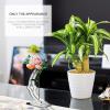 TOPBATHY 2 Pcs Rose Base Flower Display Stand Rose Display Base Rose Stand Acrylic Rose Display Stand Rose Present Stand Flower Stand Rose Support Base Rose Stem Stand Flower Support Stand view 3