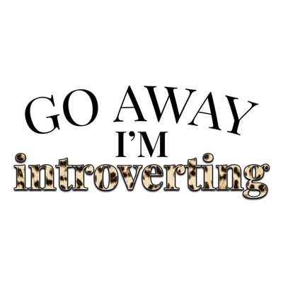 Go Away I'm Introverting |Great Gift Idea | Single |5 Inch Magnet | Made in The USA | Car Auto Tool Box Refrigerator Magnet|S10410