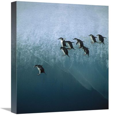 16 x 24 in. Chinstrap Penguins Group Jumping Off Blue Iceberg Into Water Below, Sandwich Islands, Antarctica Art Print - Jean-Paul Ferrero