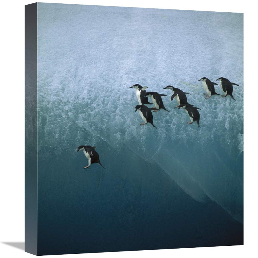 16 x 24 in. Chinstrap Penguins Group Jumping Off Blue Iceberg Into Water Below, Sandwich Islands, Antarctica Art Print - Jean-Paul Ferrero