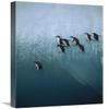 16 x 24 in. Chinstrap Penguins Group Jumping Off Blue Iceberg Into Water Below, Sandwich Islands, Antarctica Art Print - Jean-Paul Ferrero view 1