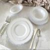" OCCASIONS " 60 Plates Pack, Premium Heavyweight Disposable Wedding Party Plastic Trays 17.5'' x 6.5'' (Trays Rochelle White and Silver) view 2