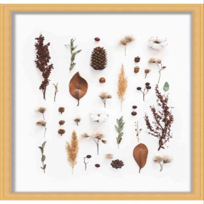 10x5 Contemporary Gold 1" Deep Shadow Box Frame - Frame Interior Size 10x5 in by 1 Inch Deep - Made to Display Items Up to 1 Inch Deep Includes Shatter Resistant Acrylic Front, Backing, Hardware