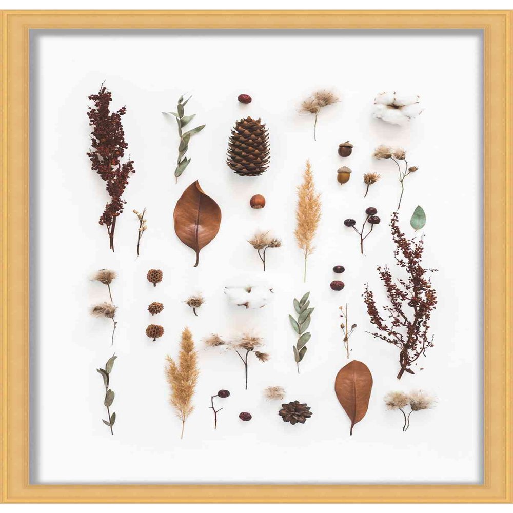 10x5 Contemporary Gold 1" Deep Shadow Box Frame - Frame Interior Size 10x5 in by 1 Inch Deep - Made to Display Items Up to 1 Inch Deep Includes Shatter Resistant Acrylic Front, Backing, Hardware