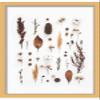 10x5 Contemporary Gold 1" Deep Shadow Box Frame - Frame Interior Size 10x5 in by 1 Inch Deep - Made to Display Items Up to 1 Inch Deep Includes Shatter Resistant Acrylic Front, Backing, Hardware view 1