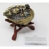 1 Set Abalone Shell, 6" Wood Stand Yerba Santa Smudge Stick & Directions: Complete Kit view 1