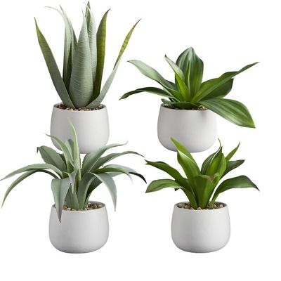 47th & Main Mini Artificial Plant in Pot, Set of 4, Succulents/White