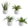 47th & Main Mini Artificial Plant in Pot, Set of 4, Succulents/White view 2