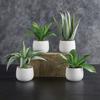 47th & Main Mini Artificial Plant in Pot, Set of 4, Succulents/White view 3