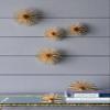 A&B Home Metal Starburst Wall Art - Spike Decor Sphere Coffee Table Dcor, Mid Century Modern Dcor, Gold Sea Urchin Wall Dcor for Living Room Bedroom, Set of 2 view 3