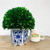 7.9" Preserved Boxwood Ball Tree in a Greek-style Blue and White Ceramic Pot - with Hand-Painted Floral Designs, Adding an Elegant Look to any room - Indoor/Outdoor Garden & Windowsills. view 2