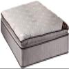 DS Solutions Spinal Dream Plush PillowTop (Eurotop) Queen Mattress Only with Mattress Cover Protector - Sleep System with Enhanced Cushion Support, Orthopedic, Longlasting, Fully Assembled view 1
