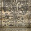 Exotic India Tree Painting with Animal and Birds - Palm Leaf view 3